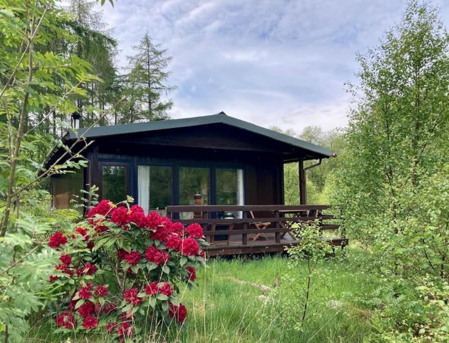 Woodland Retreats Apartment Форт Уилям Екстериор снимка