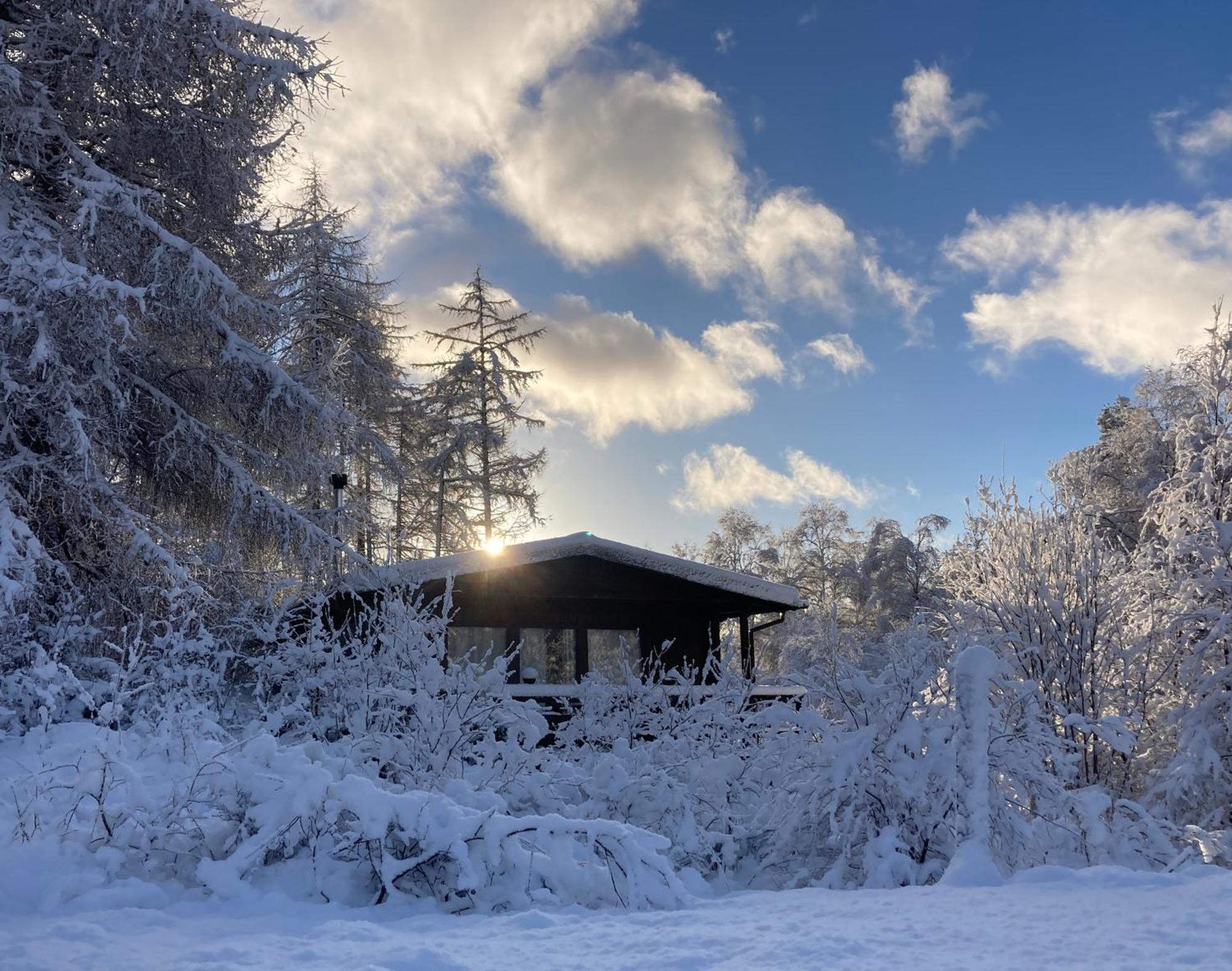 Woodland Retreats Apartment Форт Уилям Екстериор снимка